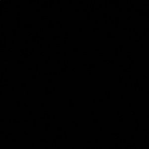 Meet your Posher, Arianna